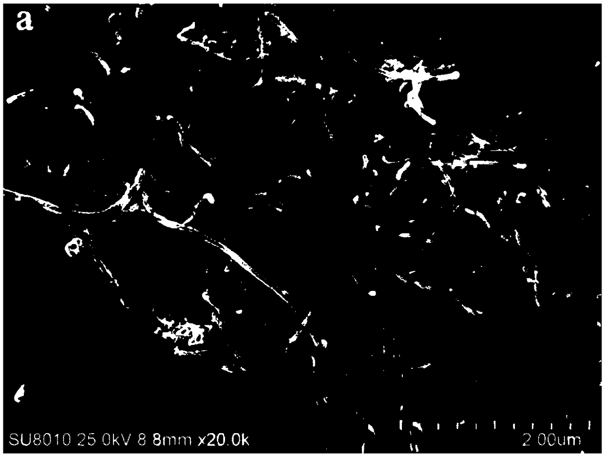 SnS2-CNTs composite material and preparation method thereof, as well as preparation method of composite anode material