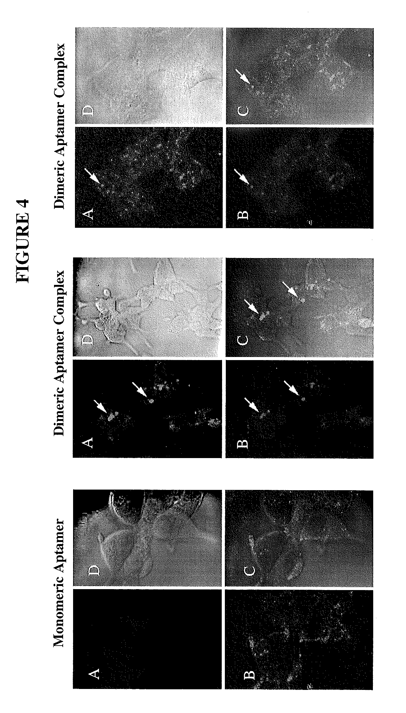 Multivalent aptamer complexes