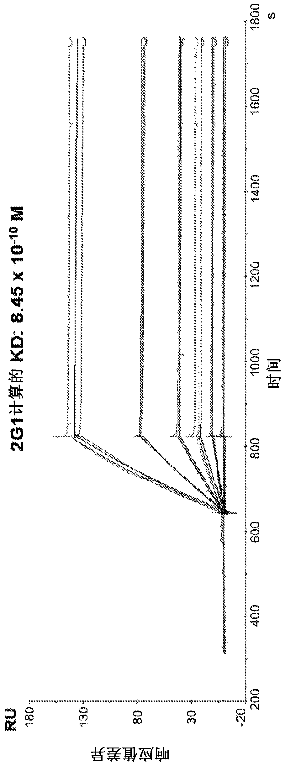 Anti-c5 antibodies and uses thereof