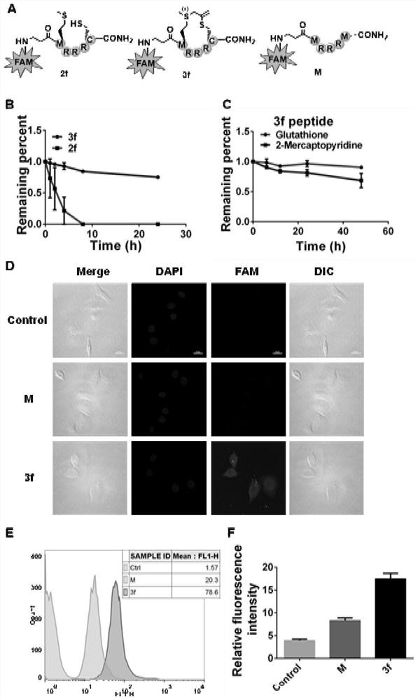 Method for selectively modifying cysteine through propargyl type sulfonium salt