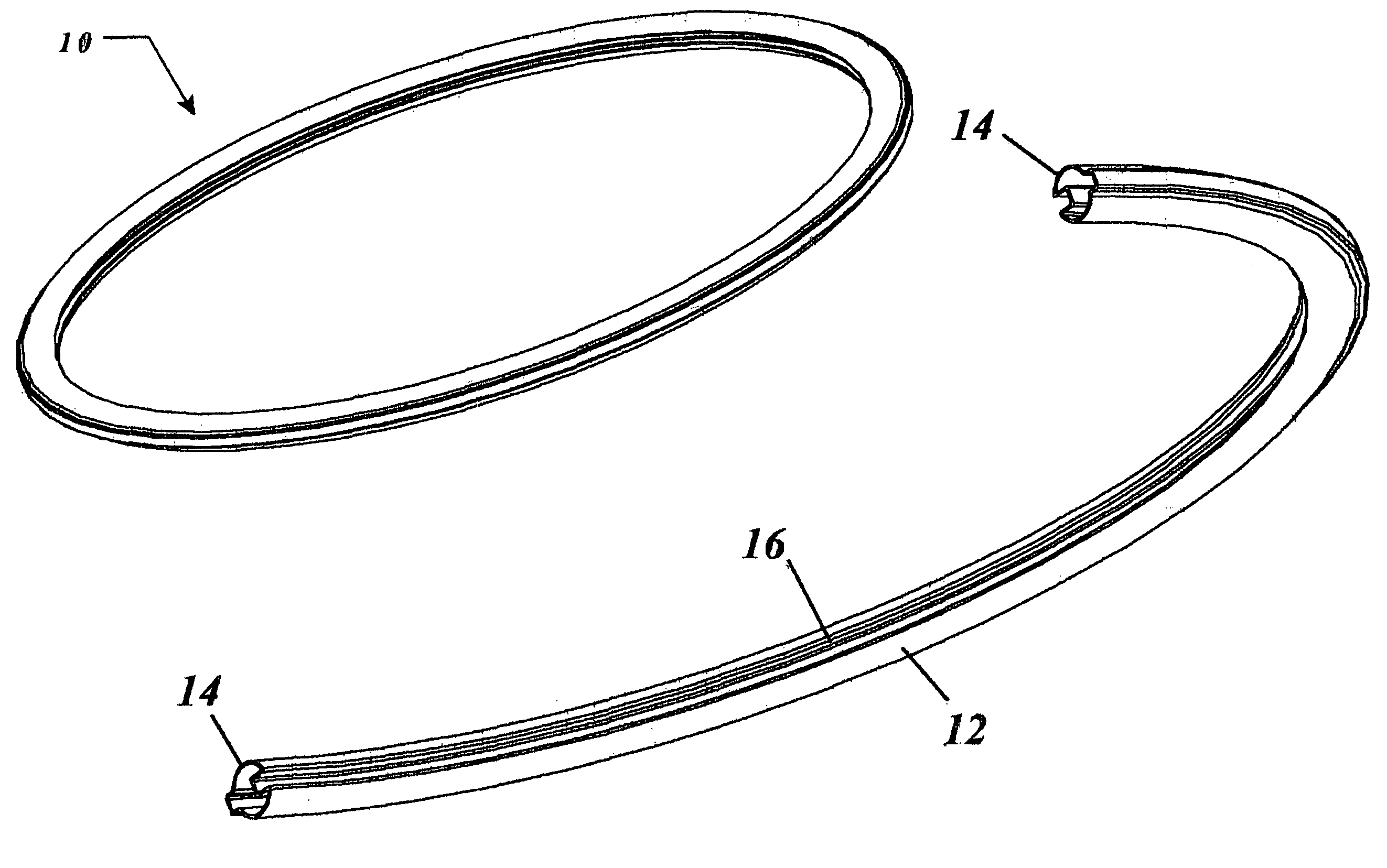 Hoop-type amusement device