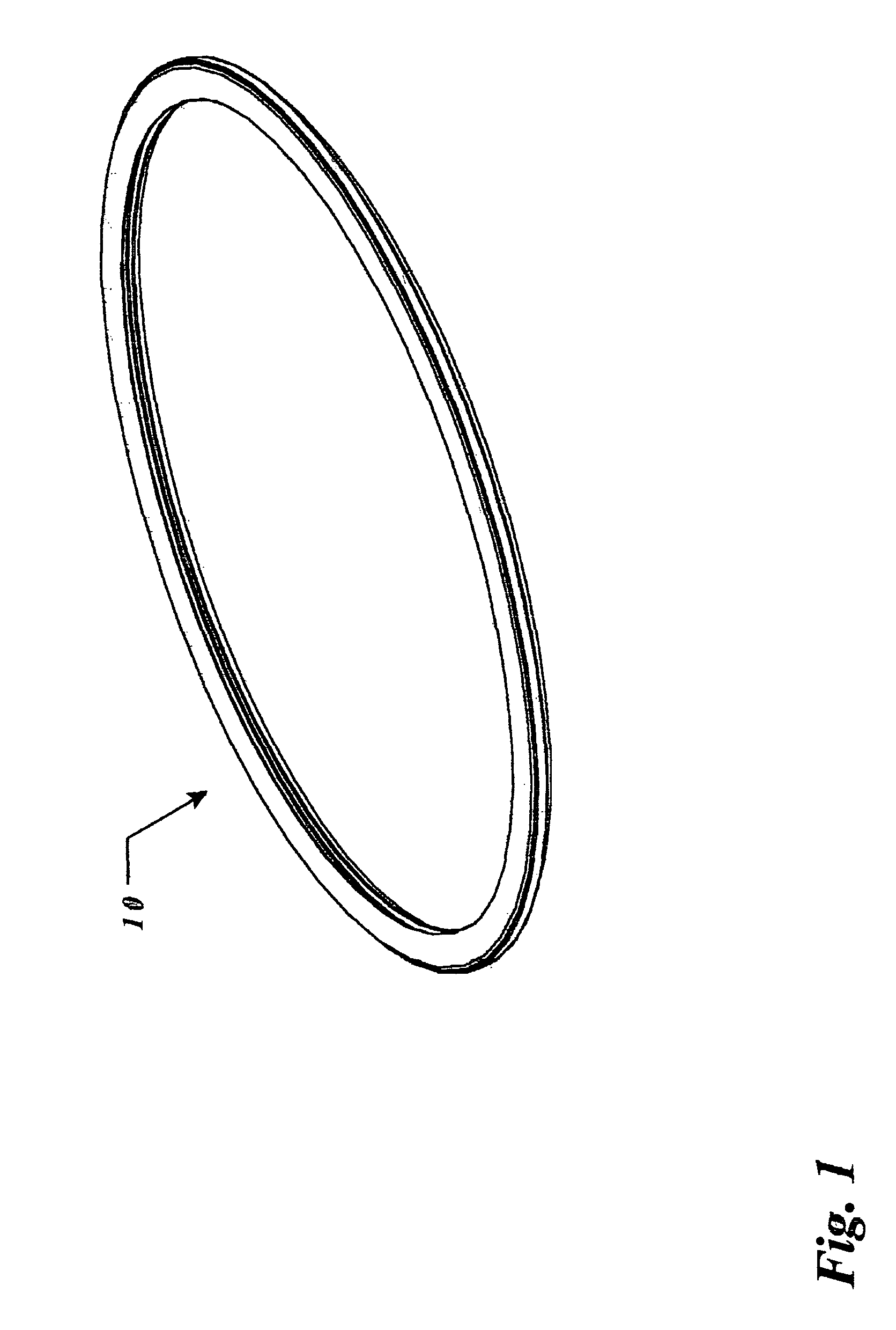 Hoop-type amusement device