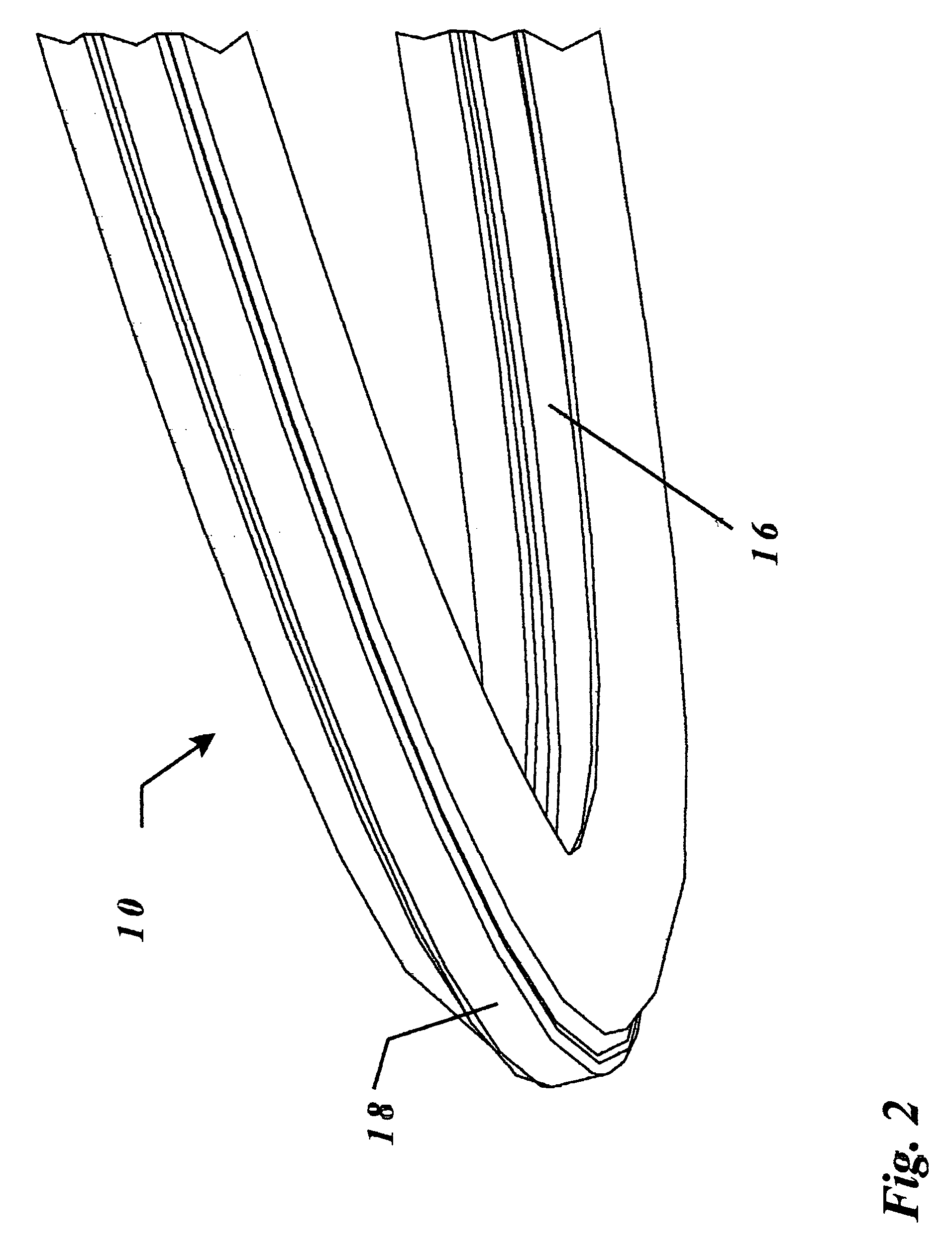 Hoop-type amusement device