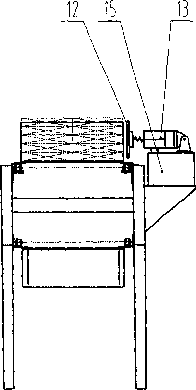 Side chain conveying device