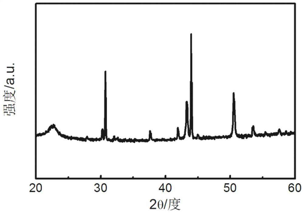 Preparation and Application of Electrode Containing Tin Array Structure