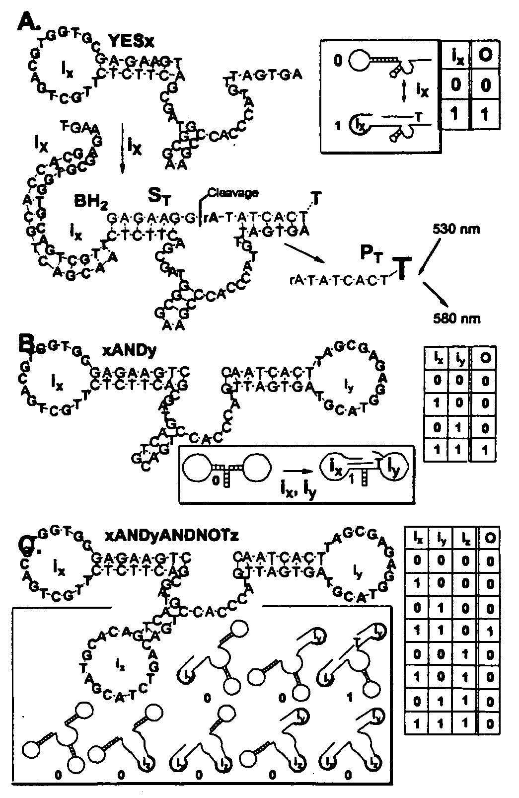 Medium scale intergration of molecular logic gates in an automaton