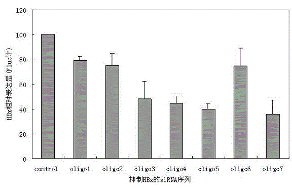 SiRNA directed at HBx and liposome preparation thereof