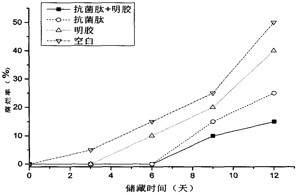 Antibacterial film and application thereof