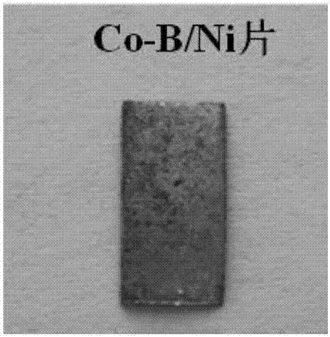 Water electrolysis efficient and double-function catalysis electrode and preparation method thereof