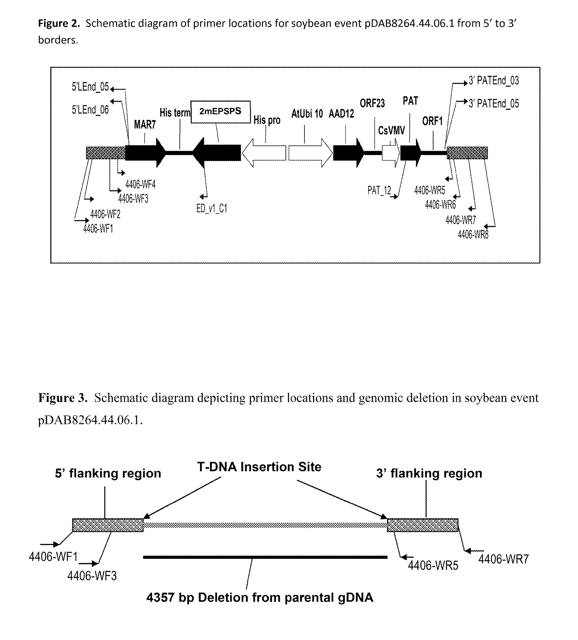 Stacked herbicide tolerance event 8264.44.06.1, related transgenic soybean lines, and detection thereof