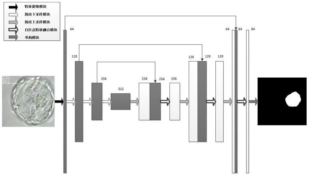 A Method for Embryo Tissue Segmentation Based on Generative Adversarial Networks