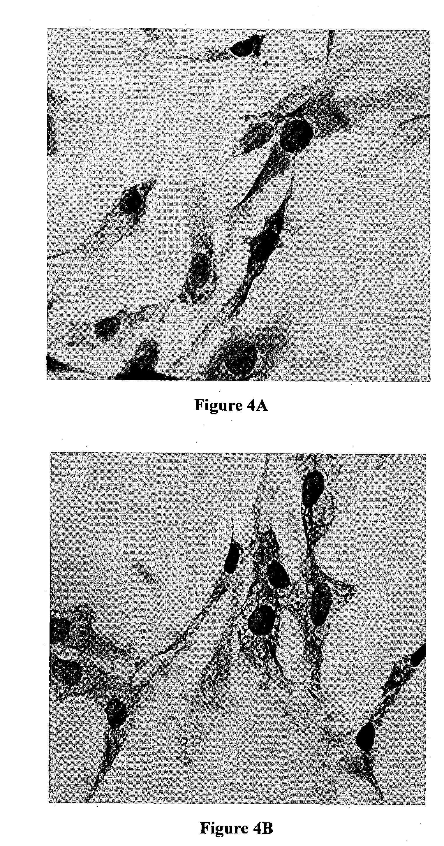 Substituted tetrahydroisoquinoline compounds, methods of making, and their use