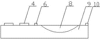 Use method of blood collection fixing plate