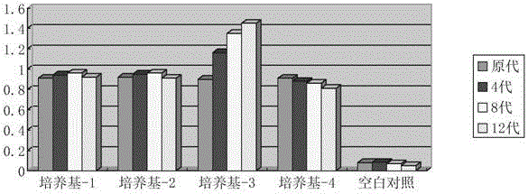 Undifferentiated anti-aging amplification culture medium for human umbilical cord/adipose tissue-derived stem cells