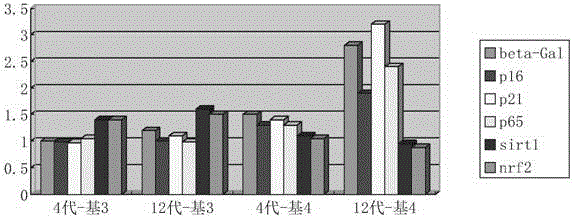 Undifferentiated anti-aging amplification culture medium for human umbilical cord/adipose tissue-derived stem cells