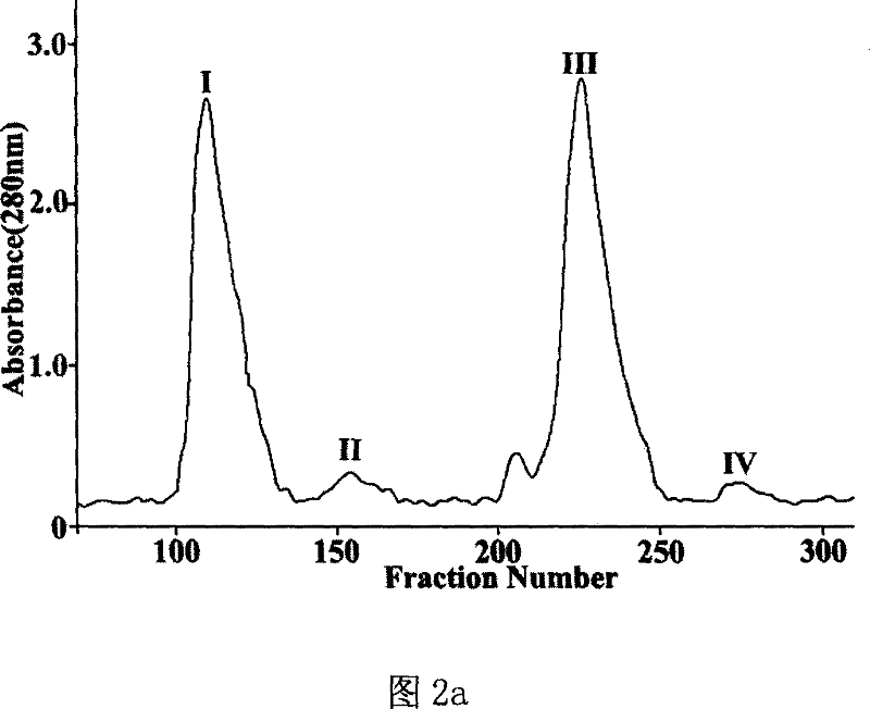 Chinese south China sea signal taro snail nerve toxin gene 1t5.4 and uses thereof