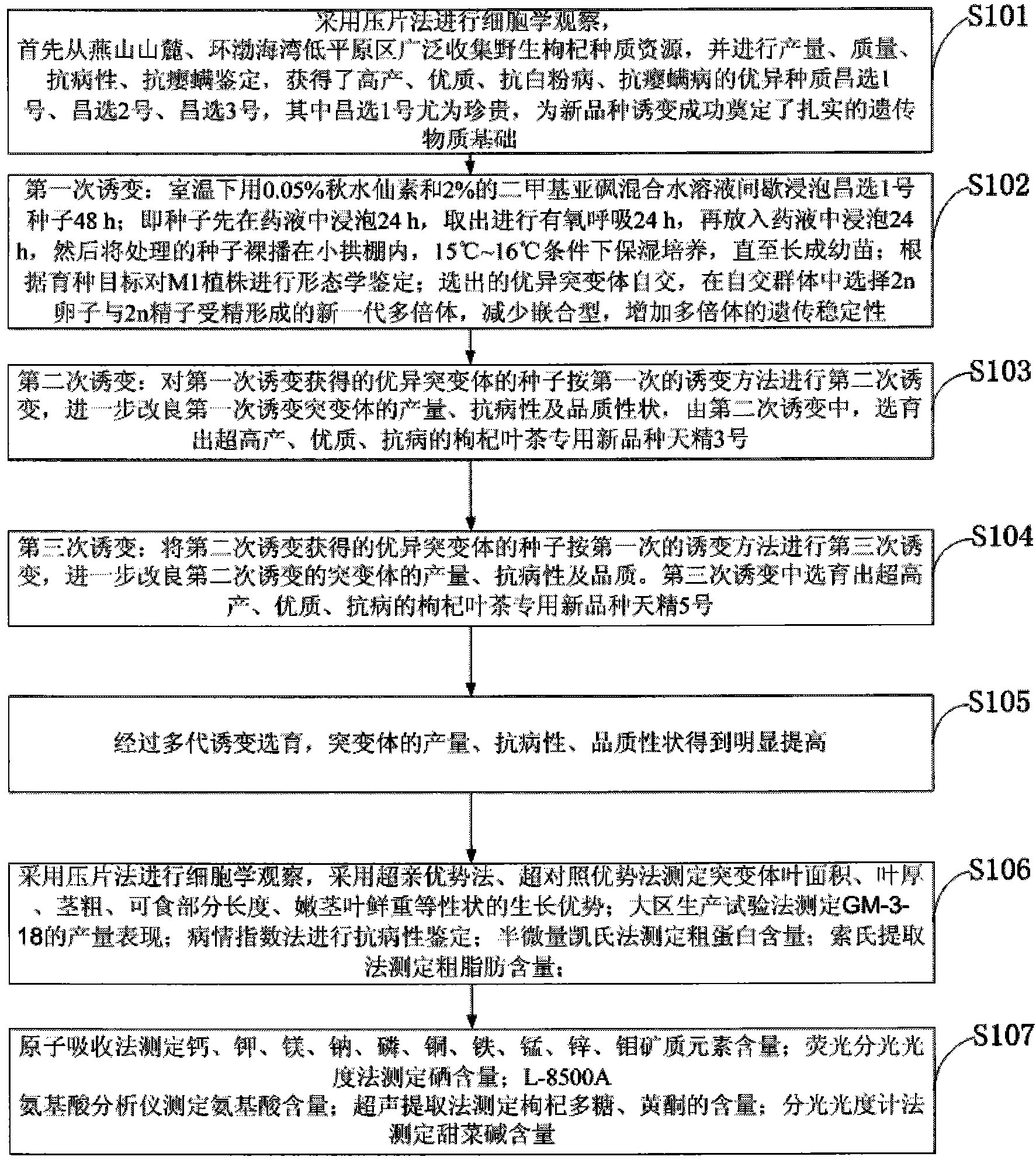 Breeding method and preparation method of new variety of health-care boxthorn leaf tea