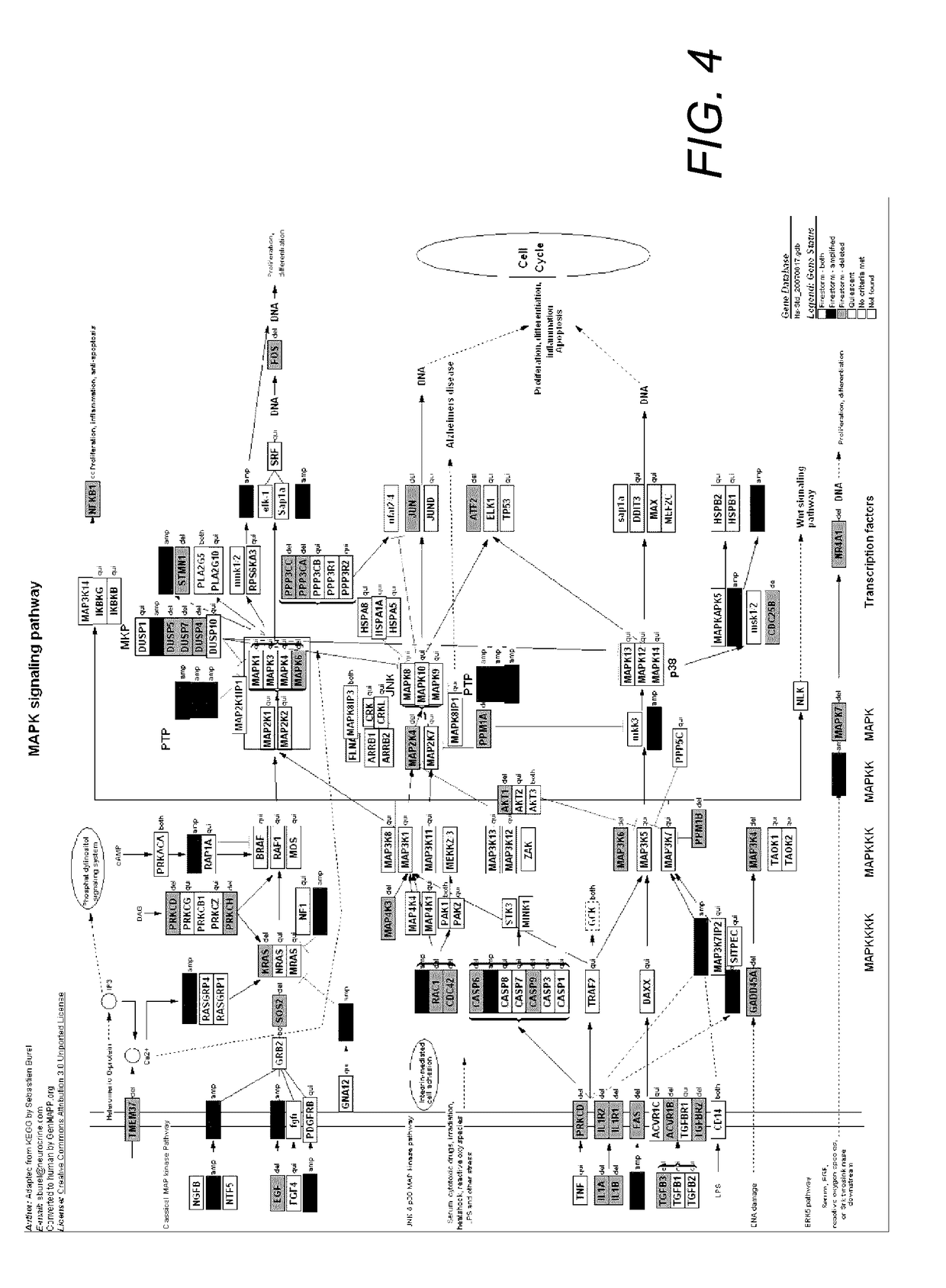 Stable gene targets in breast cancer and use thereof for optimizing therapy