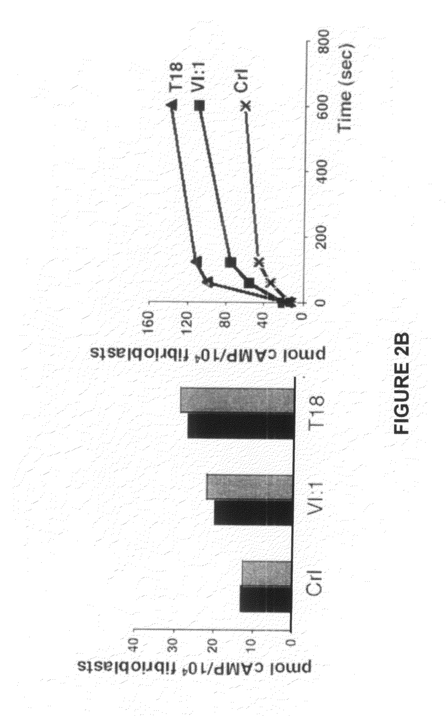 Inhibition of pacap signalling for the prevention and treatment of thrombocytopenia