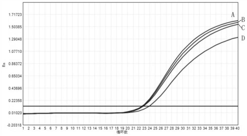 Nucleic acid composition for detecting African horse pestivirus and kit thereof