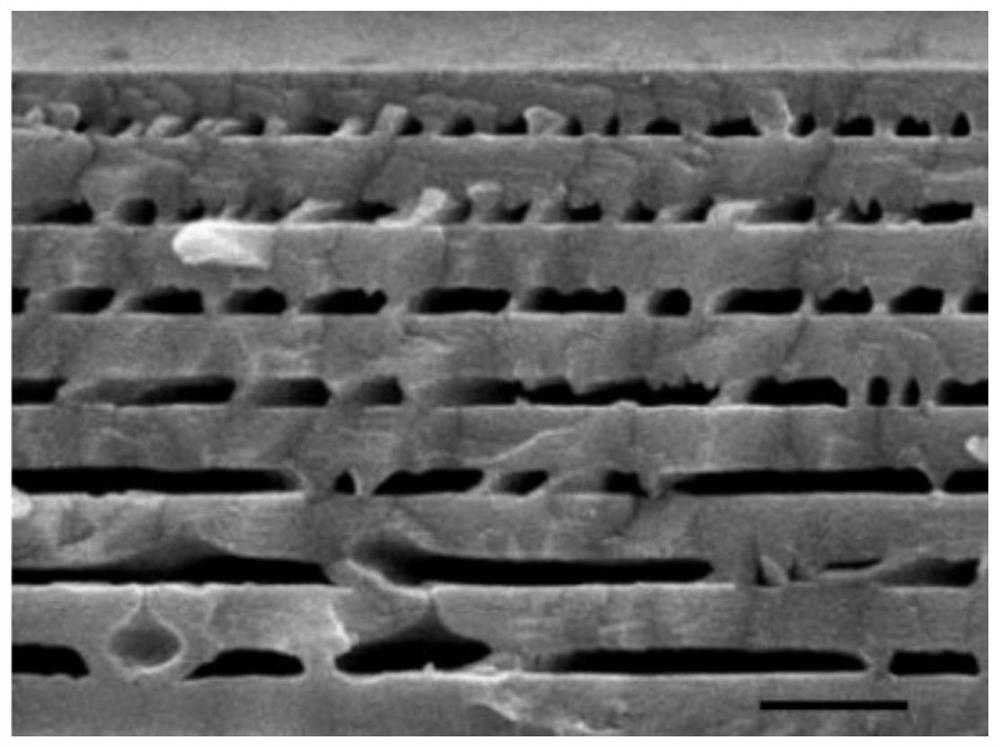 Preparation method of novel InGaN-based photo-anode