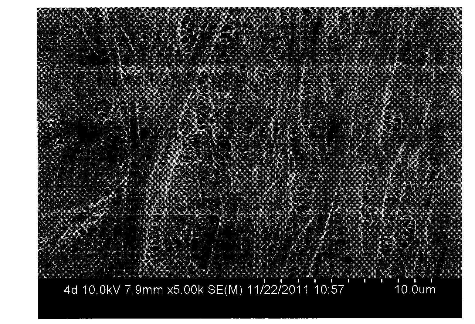 Polyvinyl composite microporous membrane with thermocompression bonding characteristic