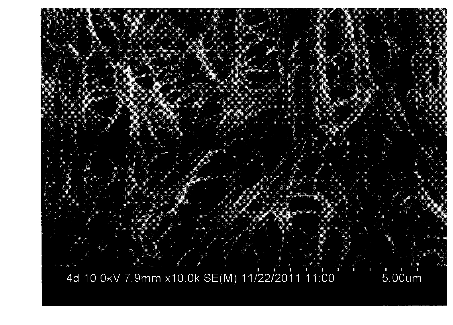 Polyvinyl composite microporous membrane with thermocompression bonding characteristic