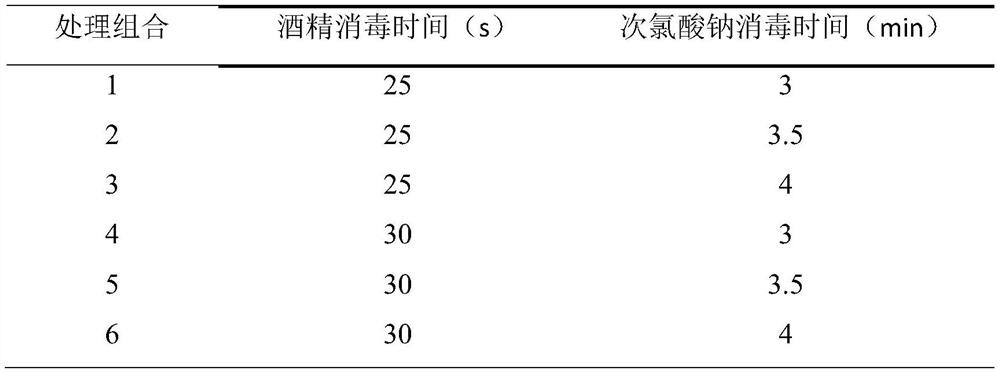 A medium for callus induction and sub-proliferation of C. chinensis and its culturing method