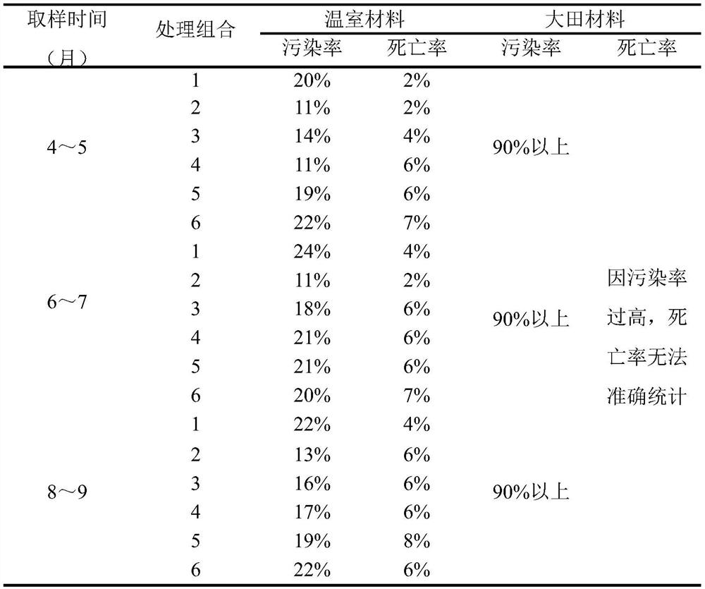 A medium for callus induction and sub-proliferation of C. chinensis and its culturing method