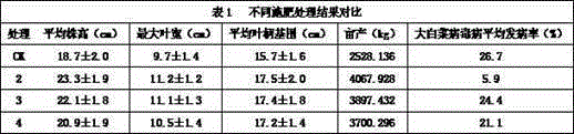 Composite organic bacterial manure and preparation method of composite organic bacterial manure