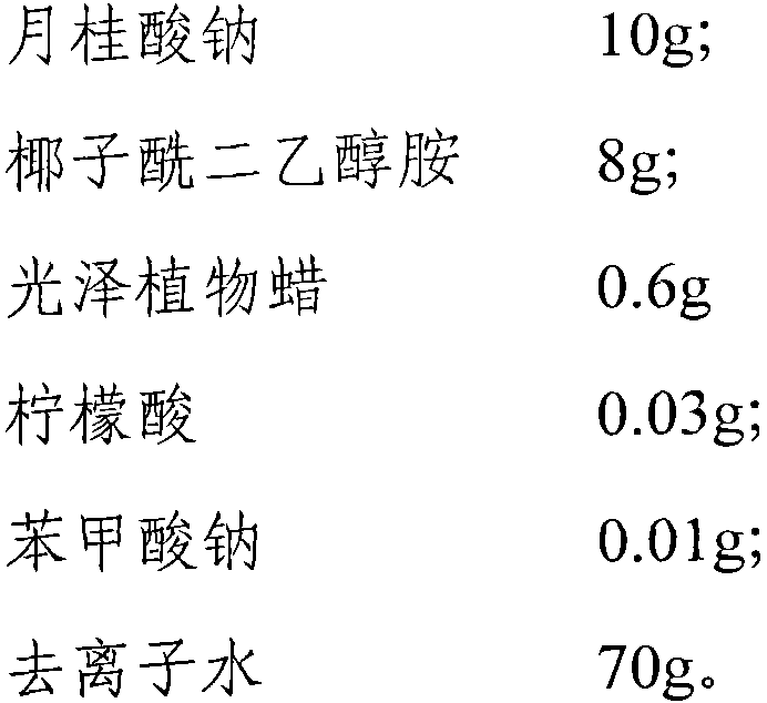 Leaf surface brightening agent for foliage plants and preparation method