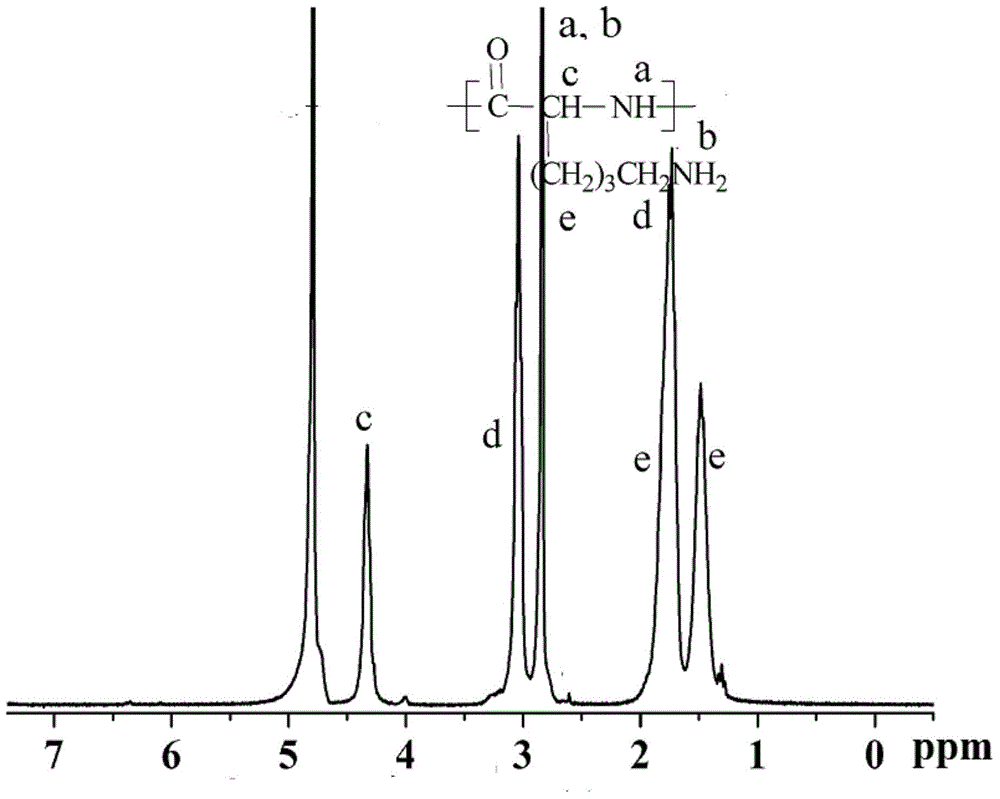 Preparation method of anti-microbial star type poly-polypeptide