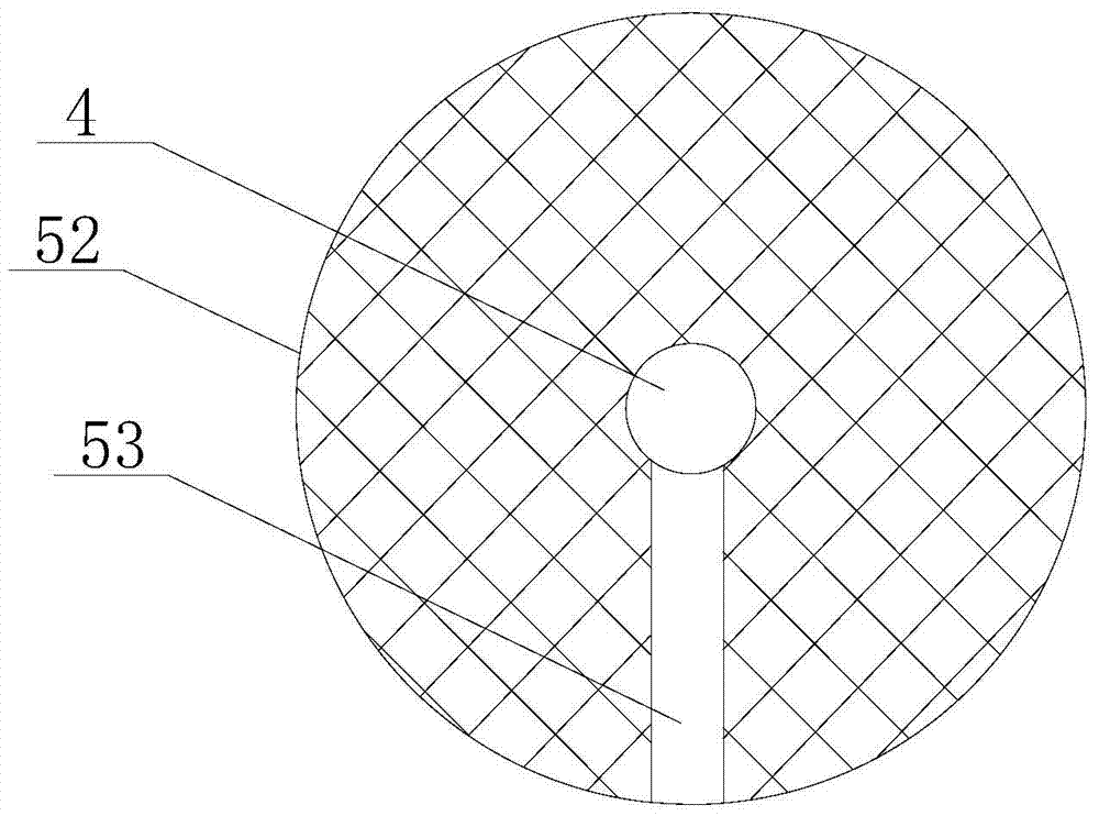 A capsule polishing device