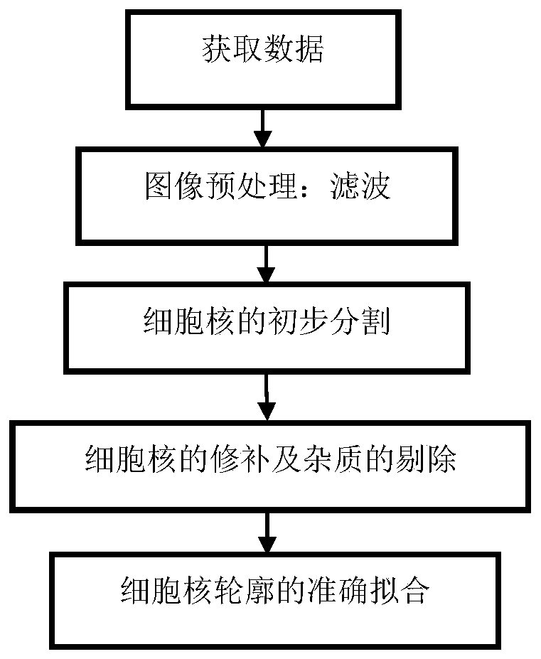 Accurate cell nucleus segmentation method