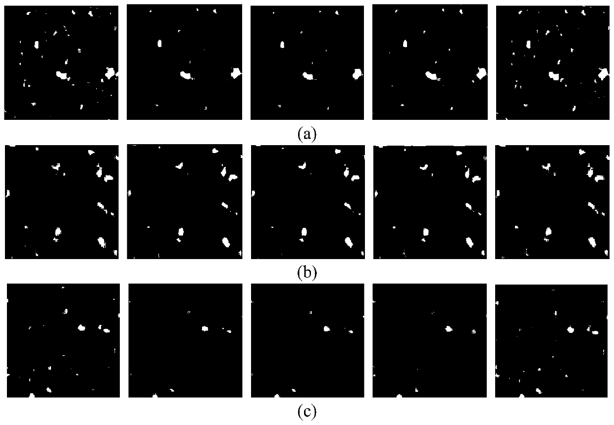 Accurate cell nucleus segmentation method