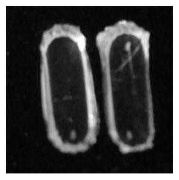 Endosperm tissue embedding method and application thereof