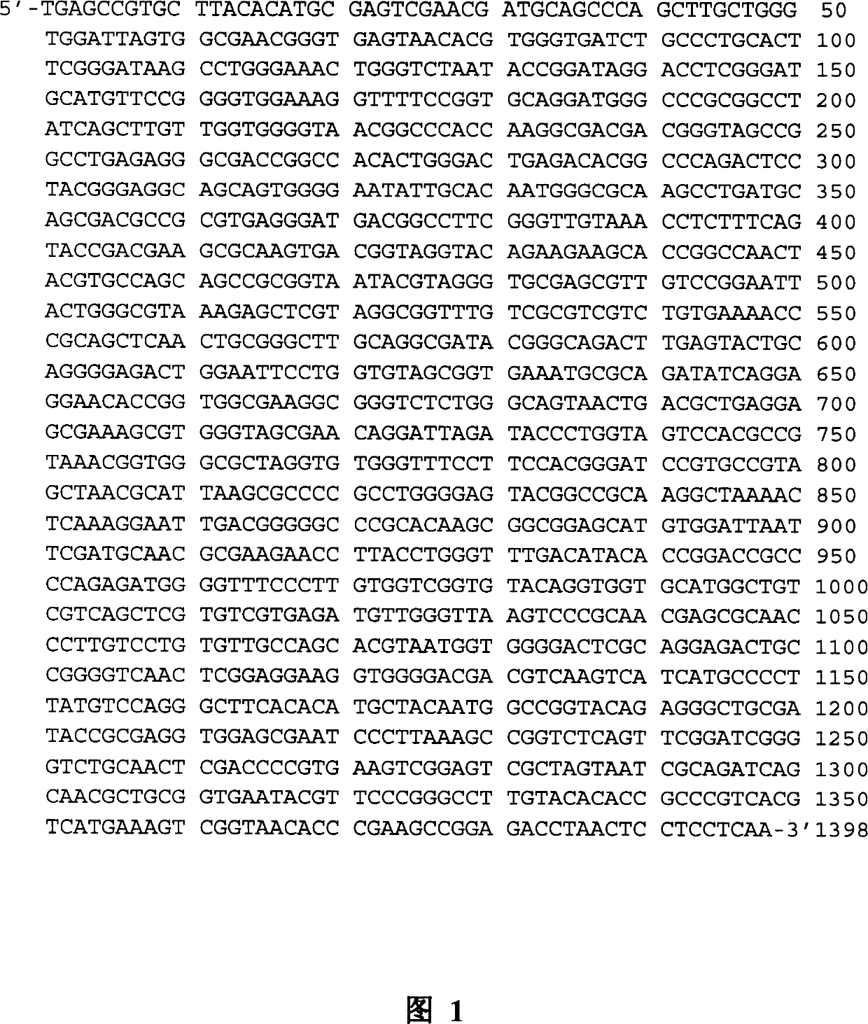 Erythro micrococcus Em and usage for generating biologic emulsifier as well as degrading polycyclic aromatic hydrocarbon