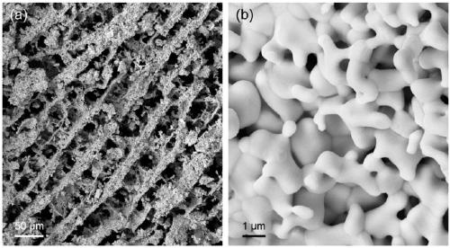 Copper-tungsten composite material with microscopic oriented structure and preparation method thereof