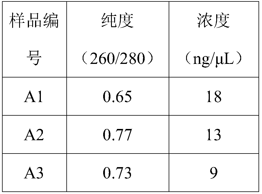 Kit for extracting DNA through magnetic bead method and extraction method