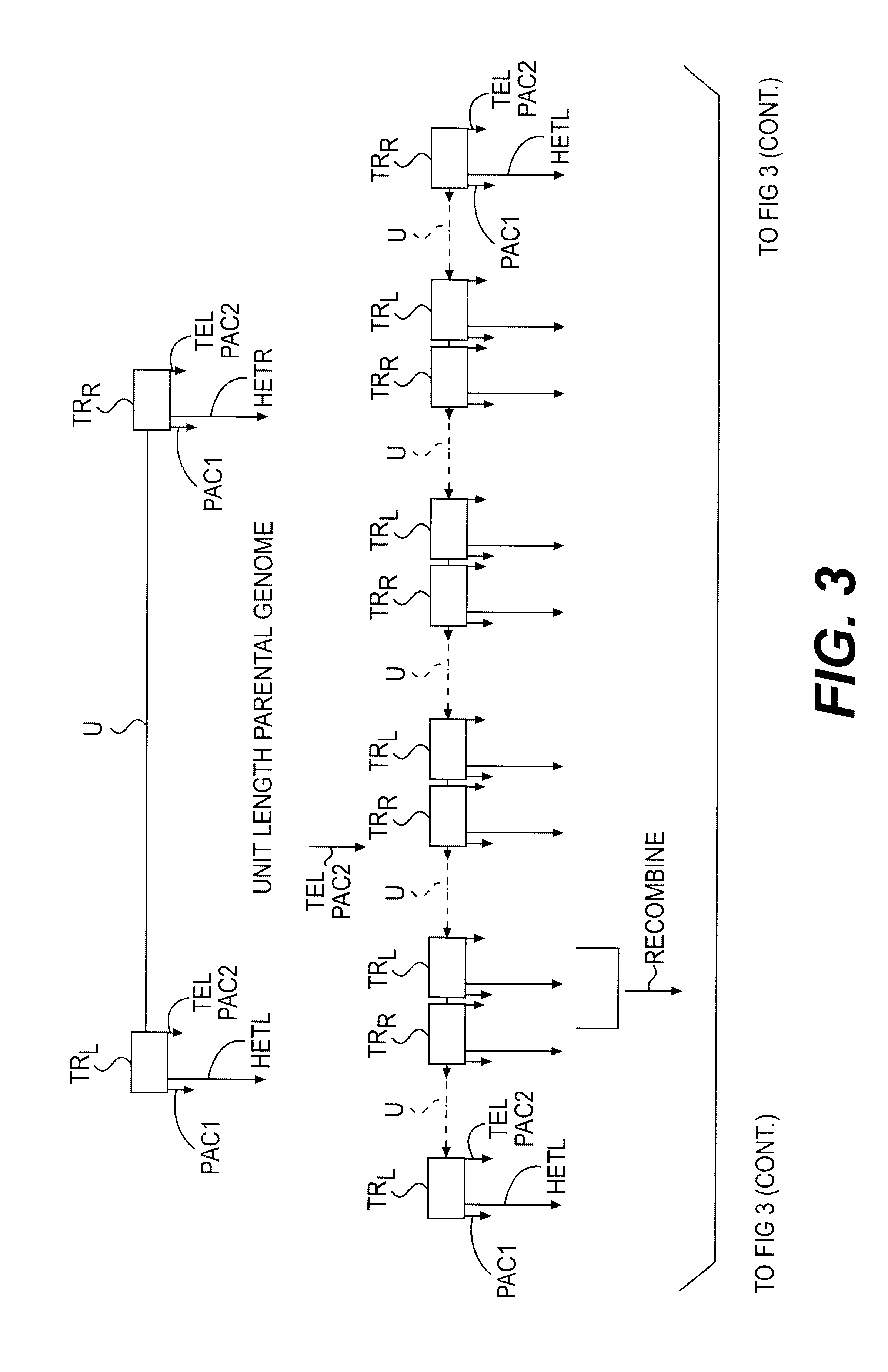 Lymphotropic agents and vectors