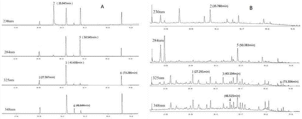 Determination of multi-index components, fingerprint construction and preparation method of Yigan Mingmu Oral Liquid