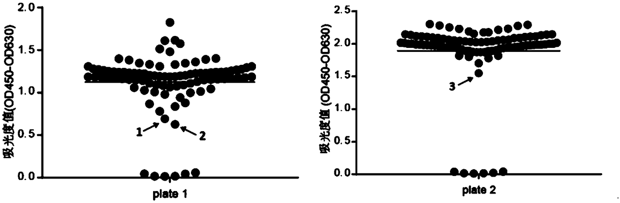 Application of adefovir dipivoxil in preparing antitumor drugs