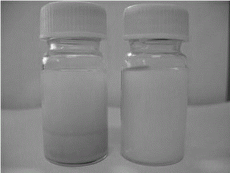 A method for optimizing the preparation of ascidian nanocellulose