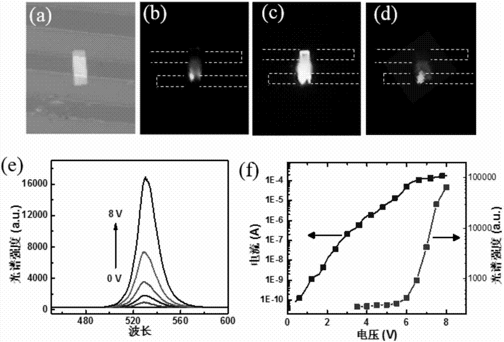 Method for building CsPbBr3 nanosheet electroluminescent device by chemical vapor deposition (CVD)