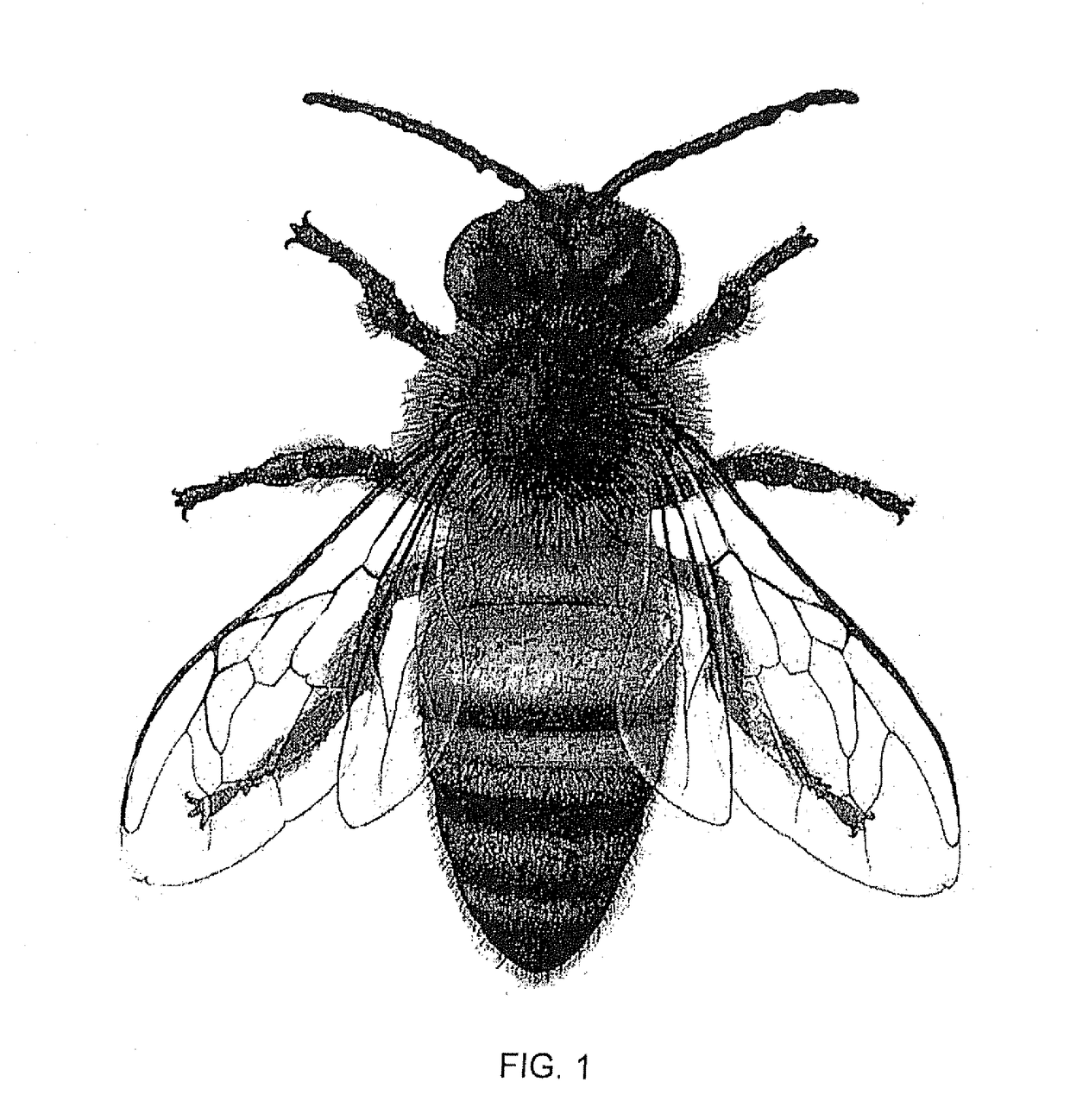 Method and System for Protecting Honey Bees, Bats and Butterflies from Neonicotinoid Pesticides