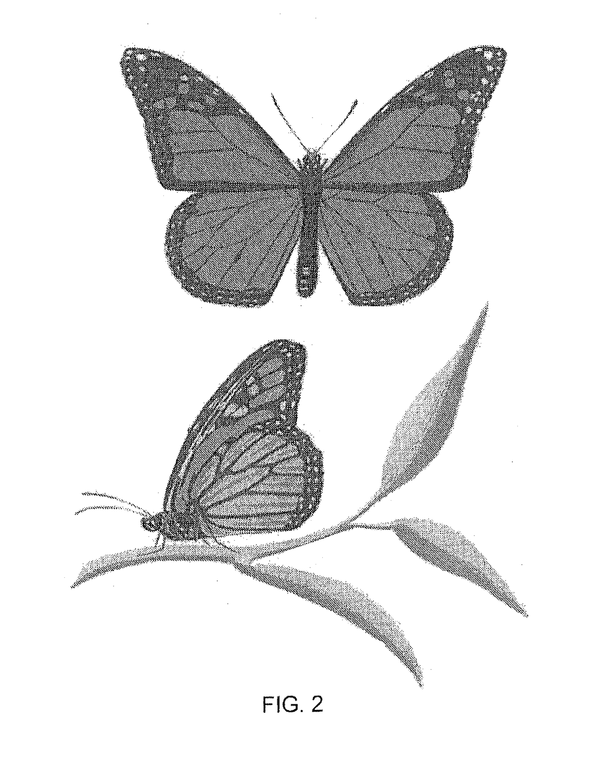 Method and System for Protecting Honey Bees, Bats and Butterflies from Neonicotinoid Pesticides