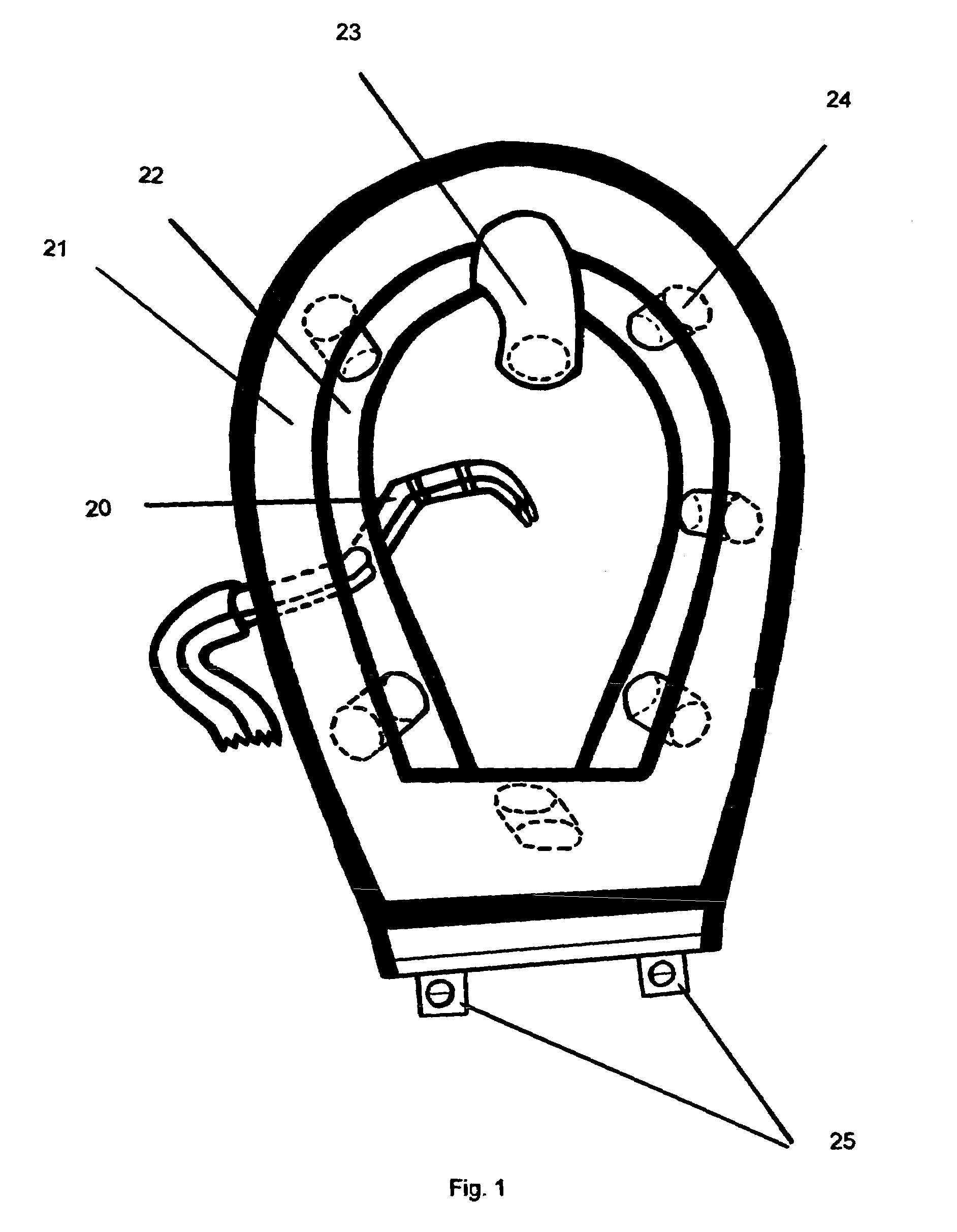 Antiseptic bidet in combination with a hygiene safety guard