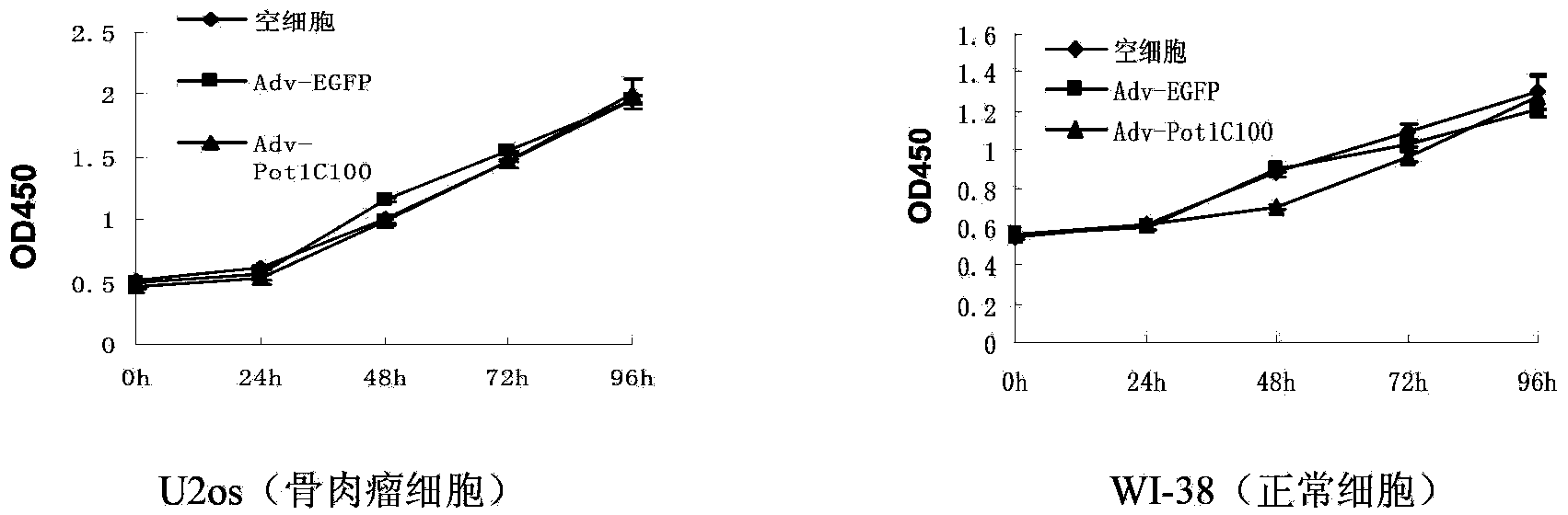 Telomeric protein polypeptide fragment with tumor cell killing activity and application thereof