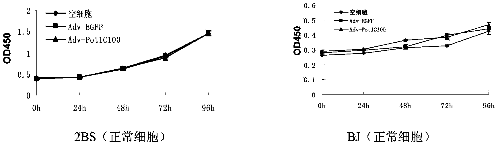 Telomeric protein polypeptide fragment with tumor cell killing activity and application thereof