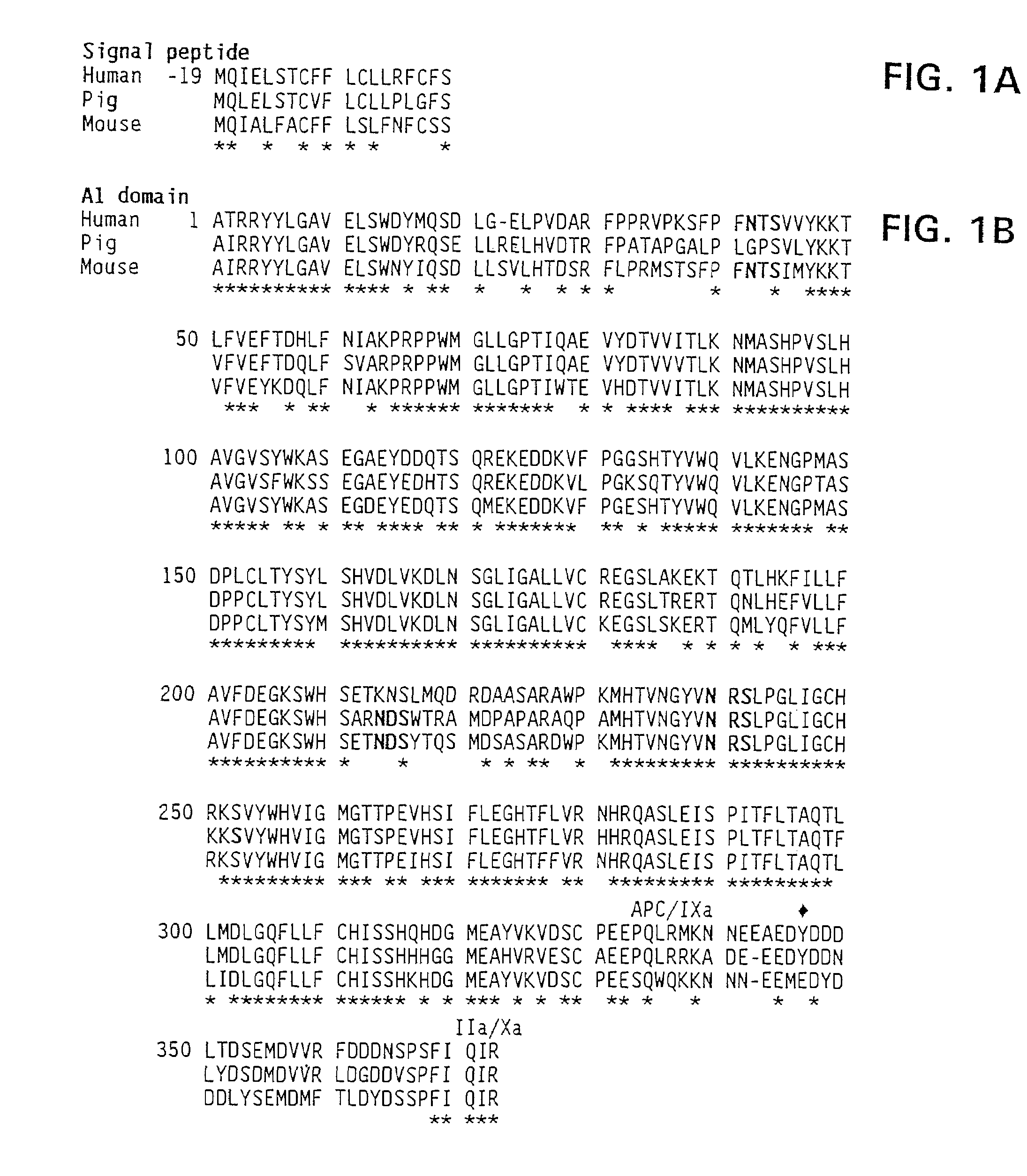 Modified factor VIII